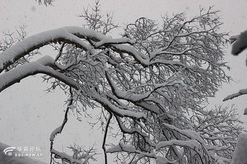 分水县舍夜遇大雪