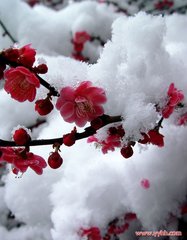 冬日旅怀