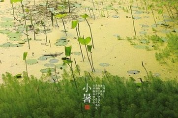 周五声调曲 羽调曲 二