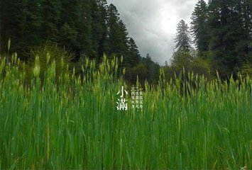 自桃川至辰州绝句四十有二