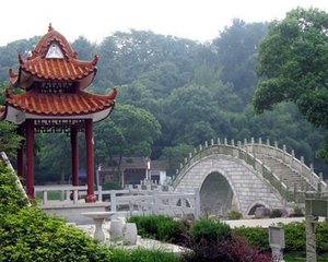 茶瓶儿