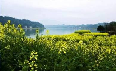 走笔送王琪