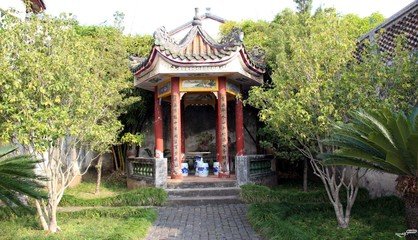 有怀故居梅花