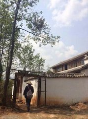 洛东兰若归