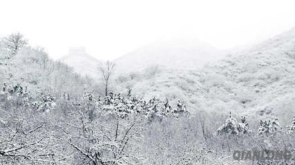 贺新郎·暖霭浮晴篽