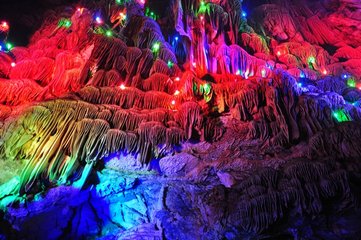 临江仙·琪树鸾栖花露重