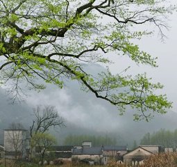 晚坐偶题