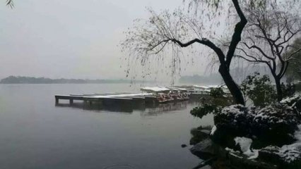 进雪诗