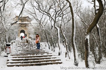 传言玉女·雪压梅梢
