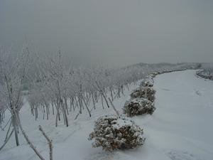 阮郎归·绍兴乙卯大雪行鄱阳道中