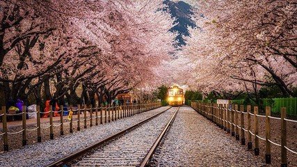 □顾使君东亭隔帘观竹下舞妓