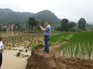 六月初九日晚大雨简文显子畅