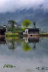 临江仙·手种千株桃李树