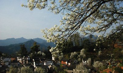 和春游三首