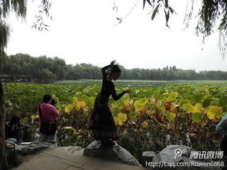 垂丝钓·玉纤半露