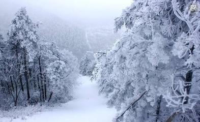 江城子（大雪与客登极目亭）
