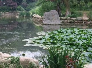 邓提举留诗南华予后五日入山次韵